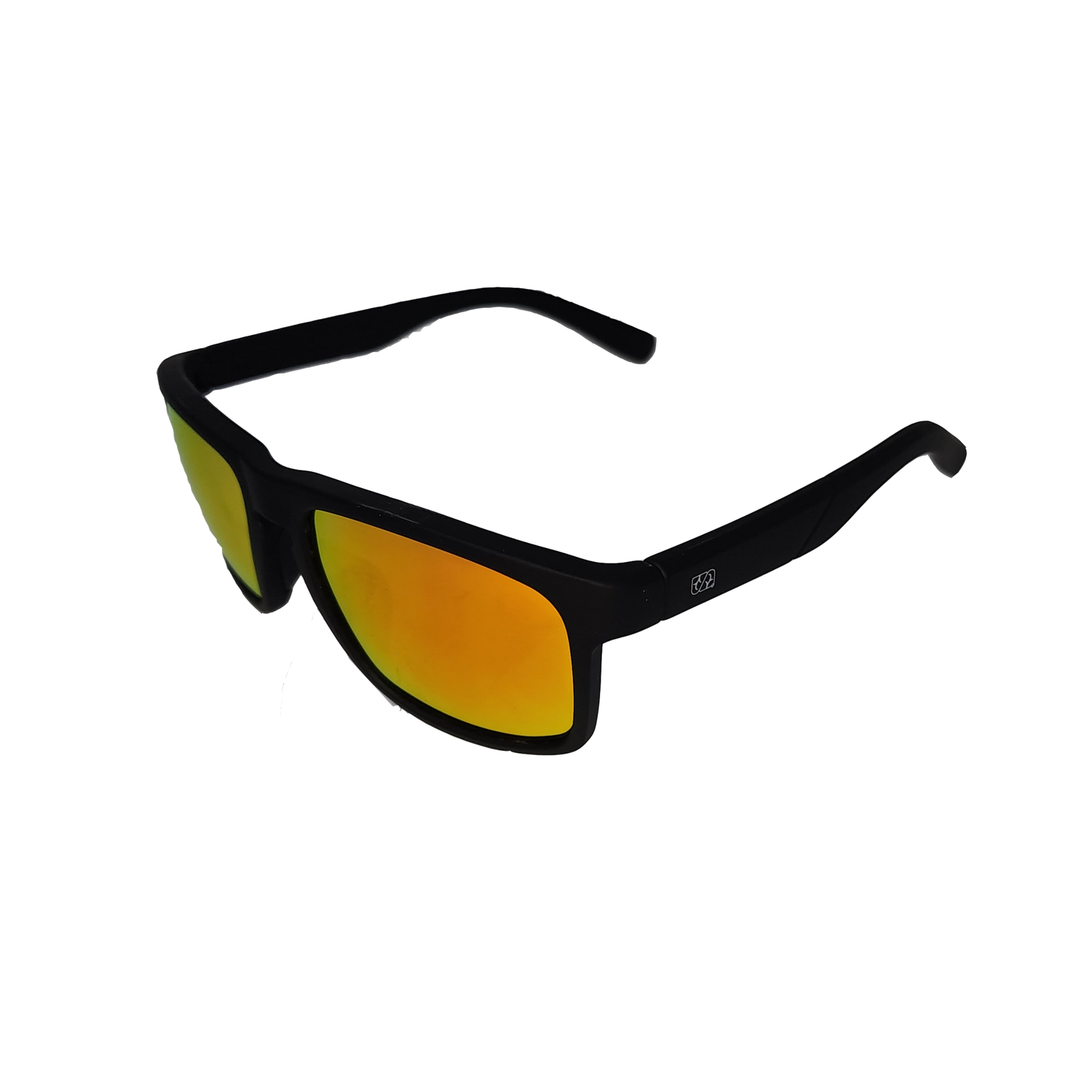 Polarized Sunglasses
