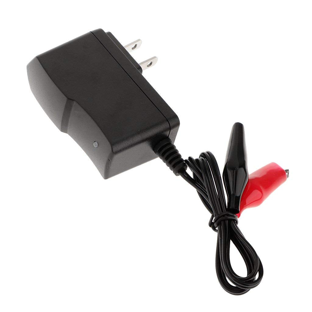 6V battery charger